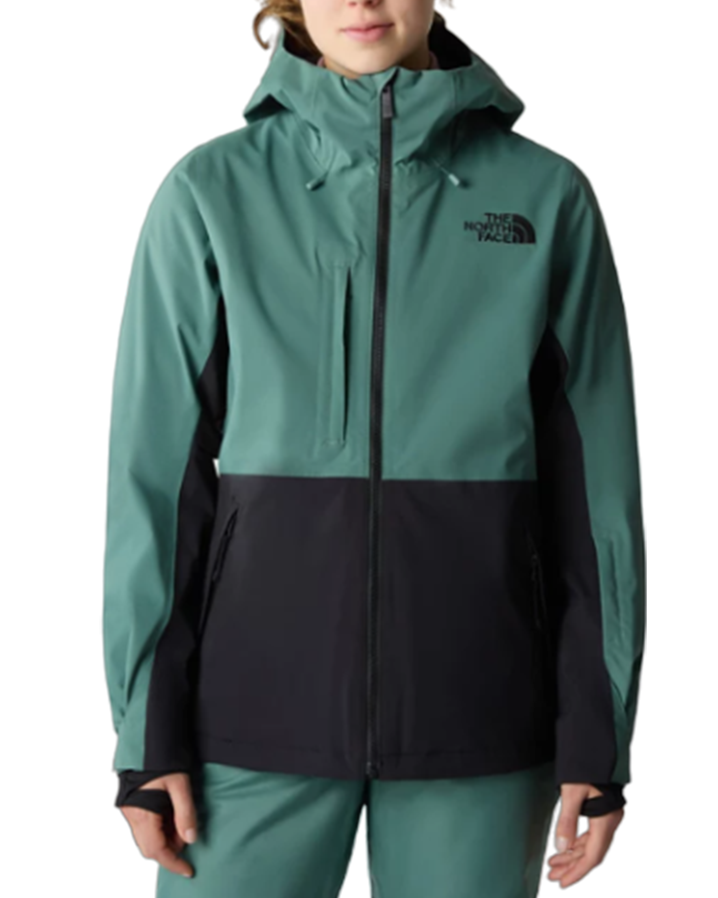 North face apex sales flex gtx snow