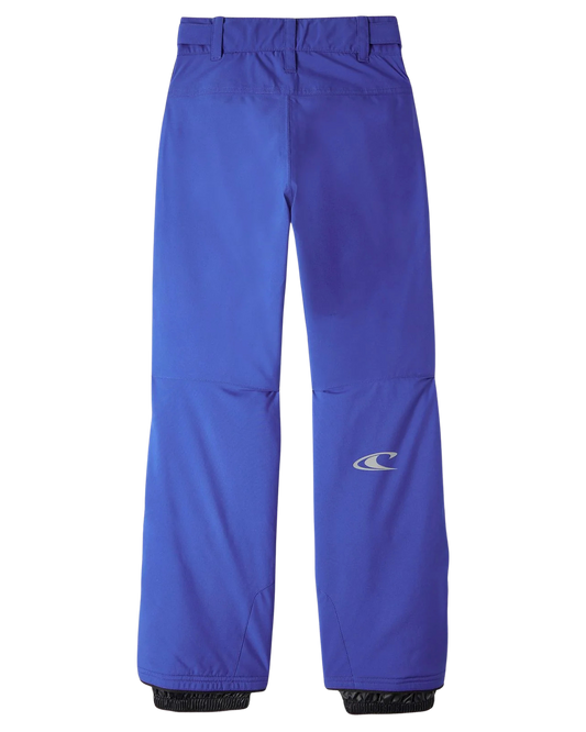 O'Neill Kids' Hammer Pants - Surf The Web Blue Kids' Snow Pants - Trojan Wake Ski Snow