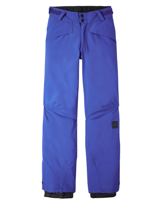 O'Neill Kids' Hammer Pants - Surf The Web Blue Kids' Snow Pants - Trojan Wake Ski Snow