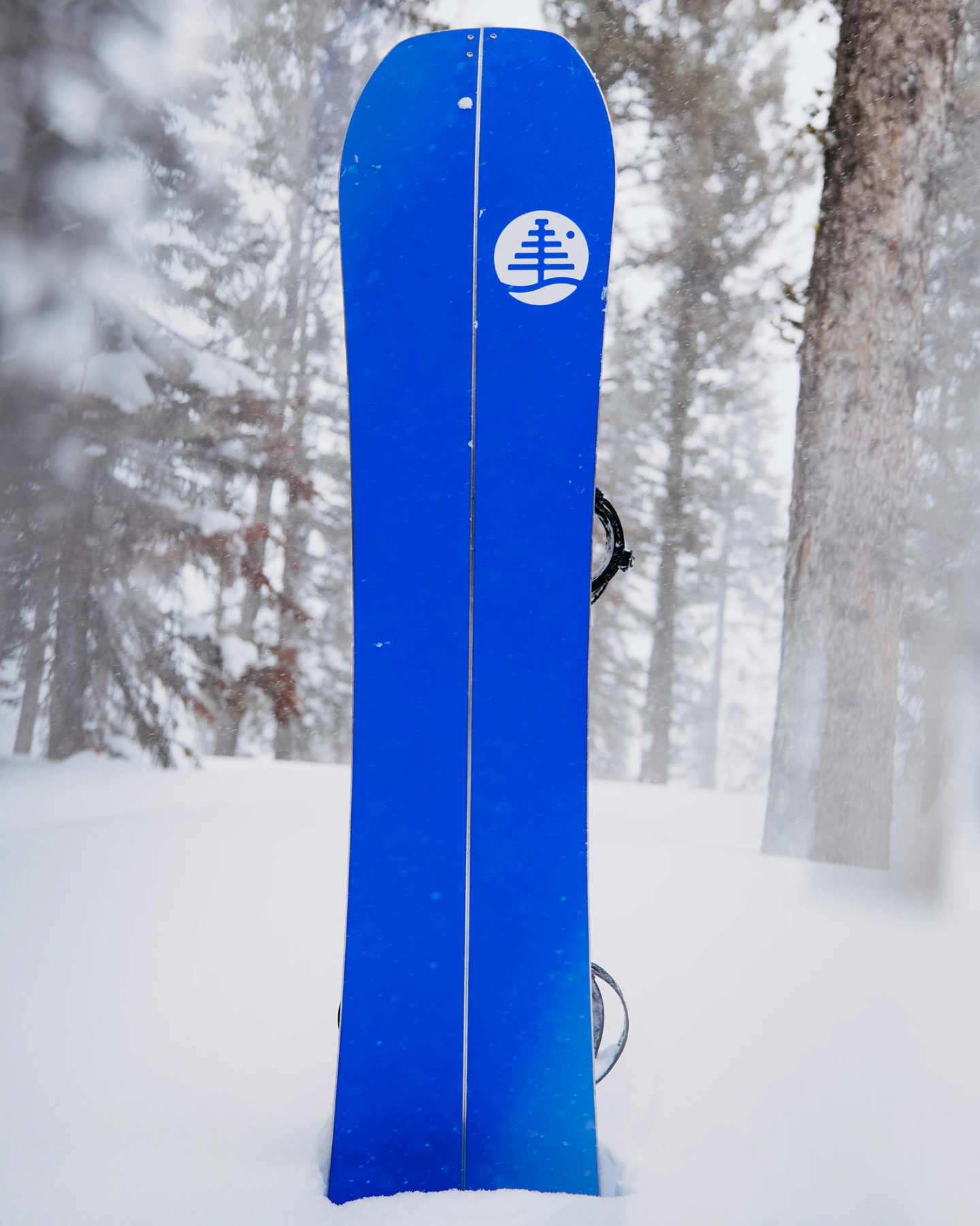Burton Family Tree Hometown Hero Splitboard Snowboard Unisex Snowboards - Trojan Wake Ski Snow