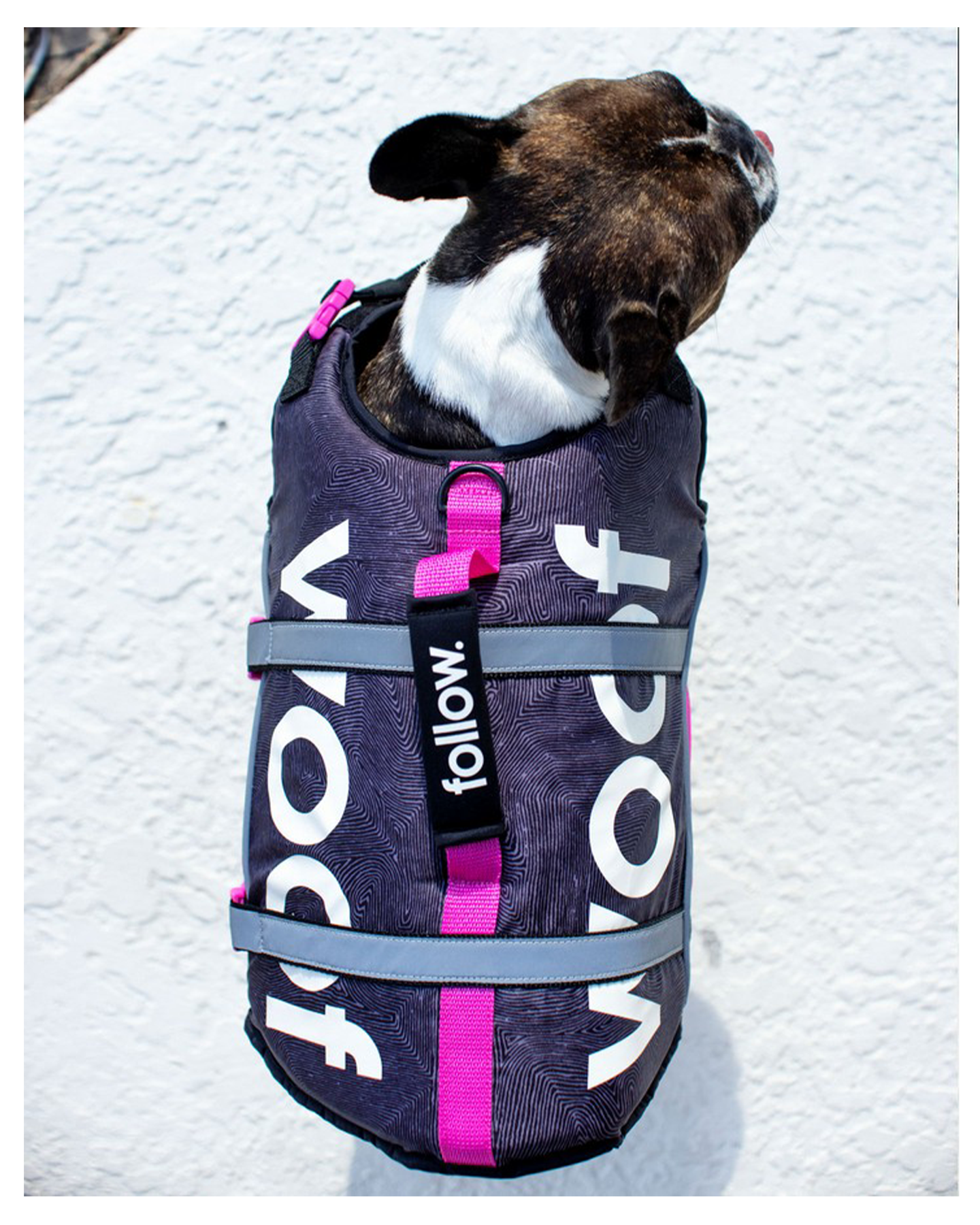 Follow Dog Floating Aid - Pink - 2024 Dog Vest - Trojan Wake Ski Snow