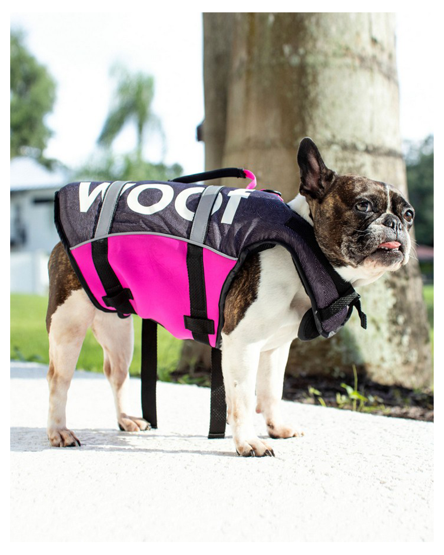 Follow Dog Floating Aid - Pink - 2024 Dog Vest - Trojan Wake Ski Snow